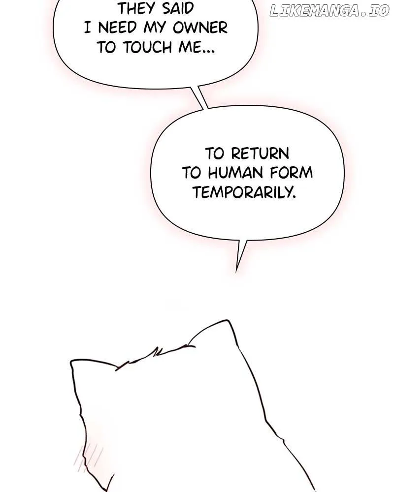 How to Hold X's Leash Chapter 3 page 23 - 