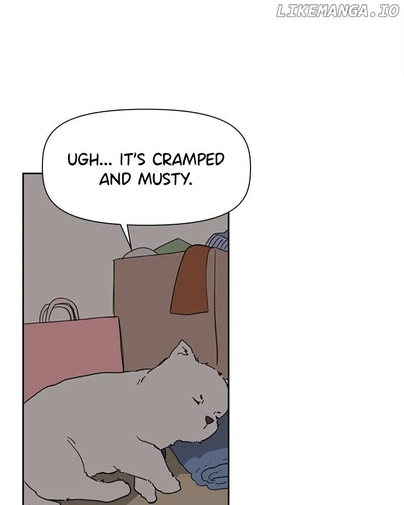 How to Hold X's Leash Chapter 6 page 64 - 