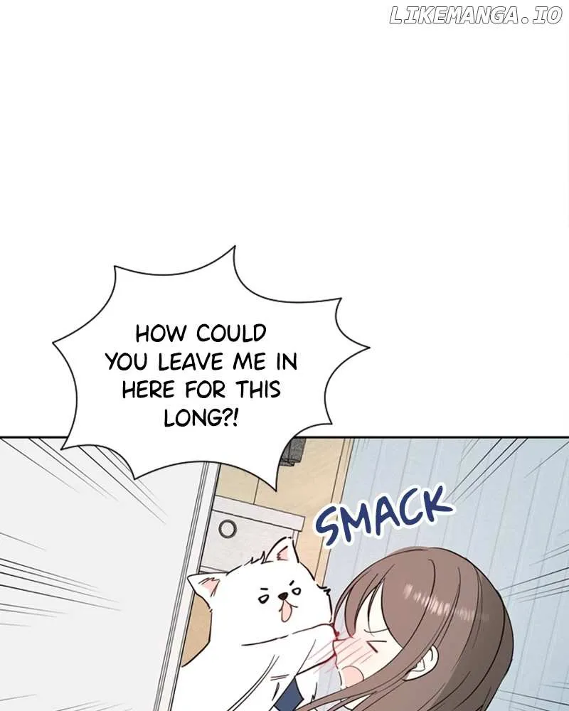 How to Hold X's Leash Chapter 7 page 45 - 