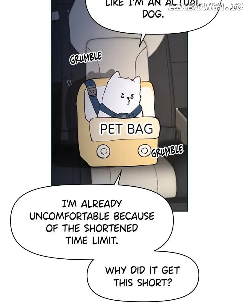 How to Hold X's Leash Chapter 8 page 42 - 