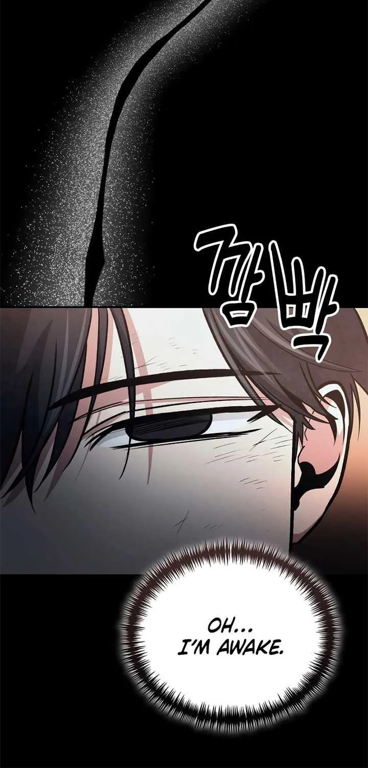 How to Live as an Illegal Healer Chapter 101 page 45 - 