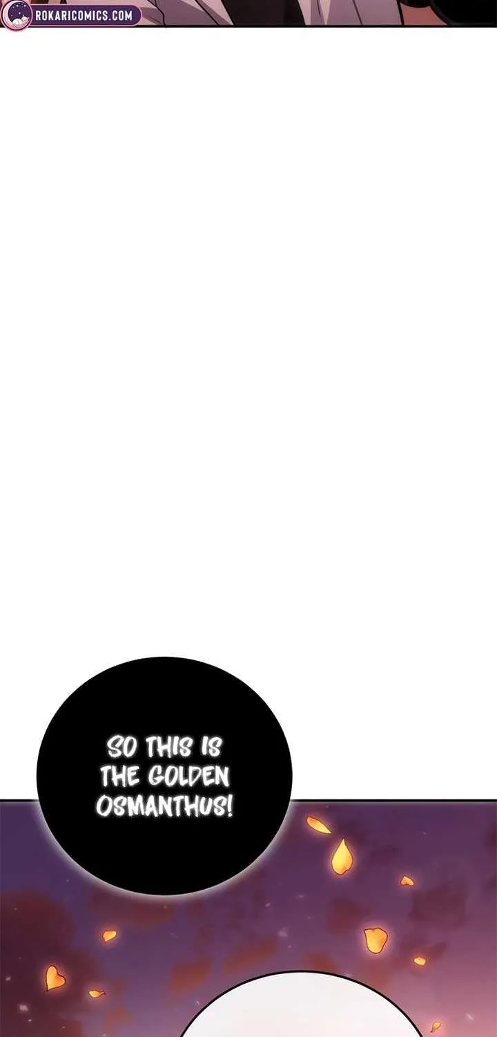 How to Live as an Illegal Healer Chapter 102 page 77 - 