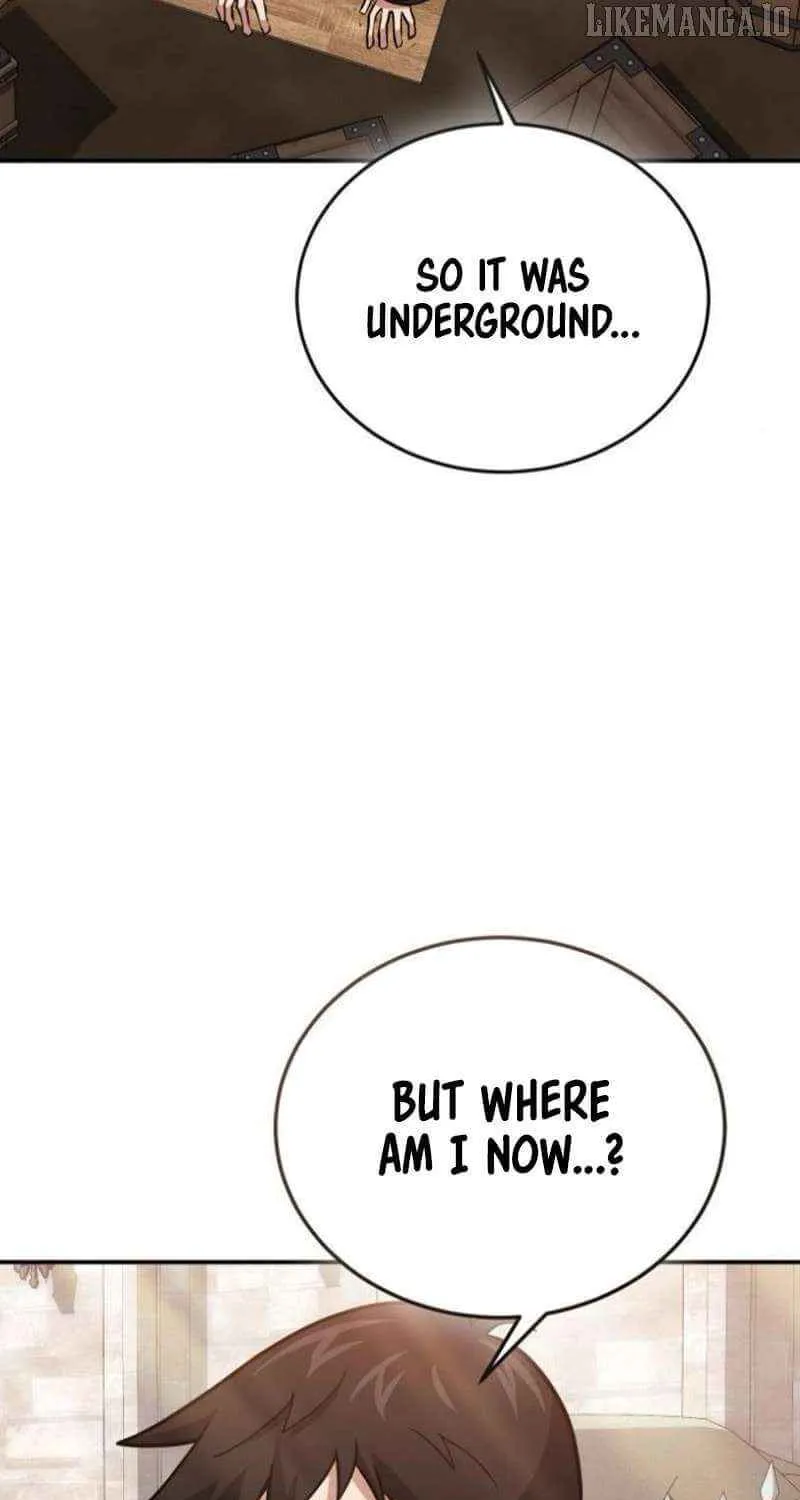 How to Live as an Illegal Healer Chapter 113 page 42 - 