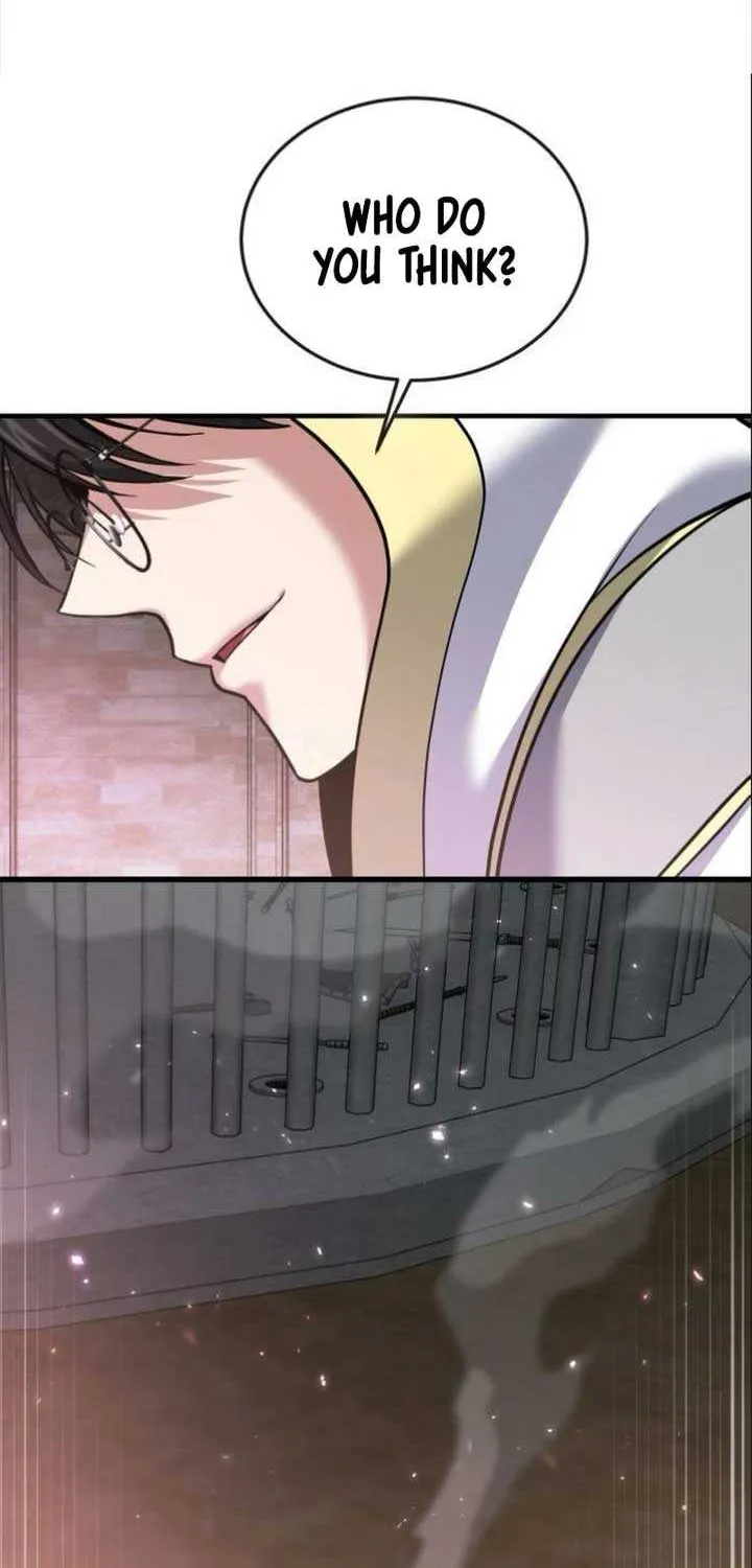How to Live as an Illegal Healer Chapter 114 page 4 - 