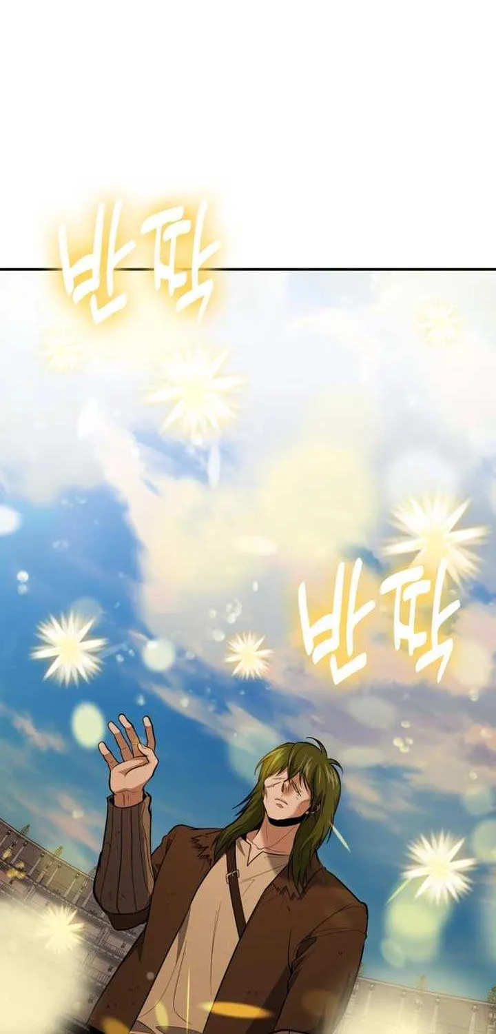 How to Live as an Illegal Healer Chapter 117 page 12 - 