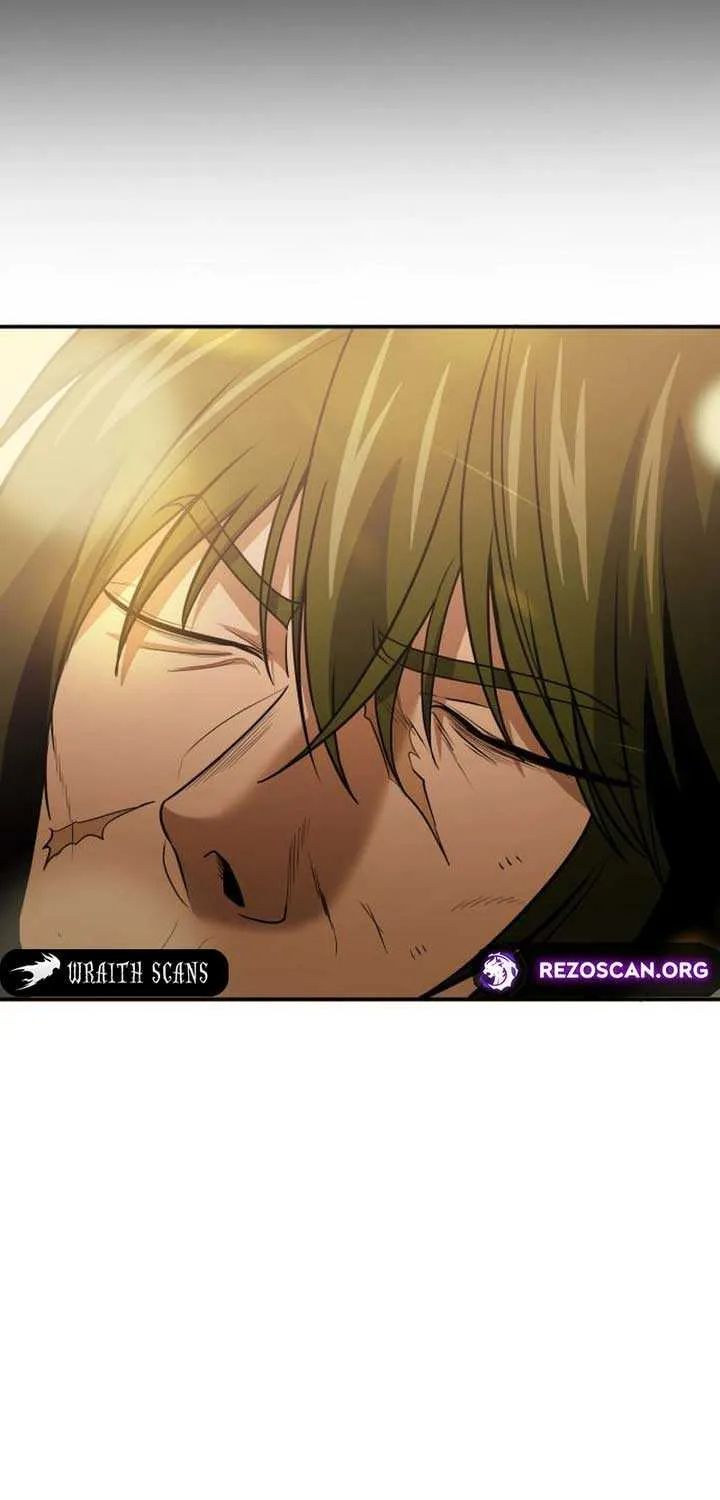 How to Live as an Illegal Healer Chapter 117 page 15 - 