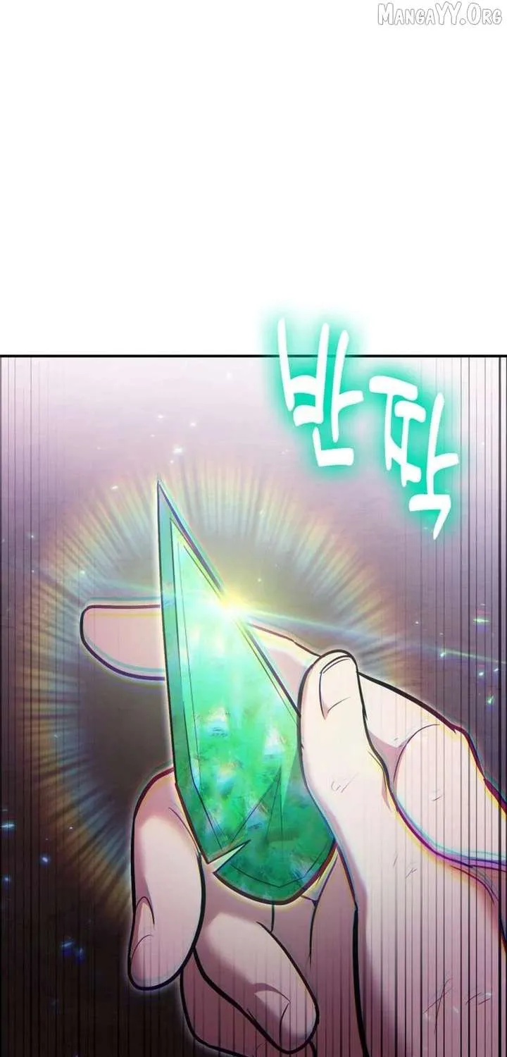 How to Live as an Illegal Healer Chapter 120 page 108 - 