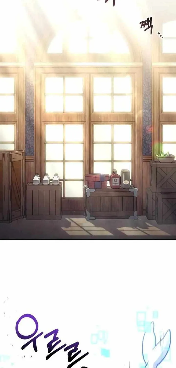 How to Live as an Illegal Healer Chapter 33 page 29 - 