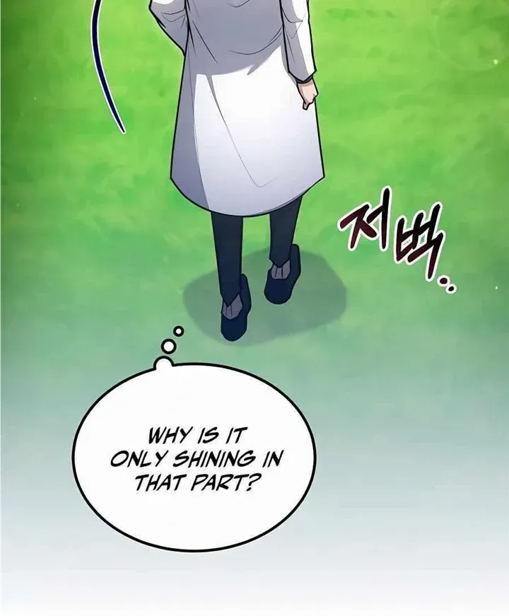 How to Live as an Illegal Healer Chapter 38 page 11 - 
