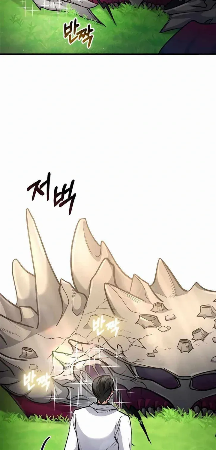 How to Live as an Illegal Healer Chapter 38 page 10 - 