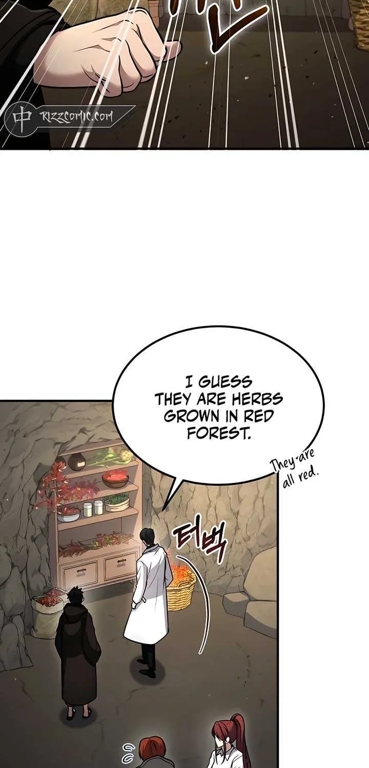 How to Live as an Illegal Healer Chapter 42 page 35 - 