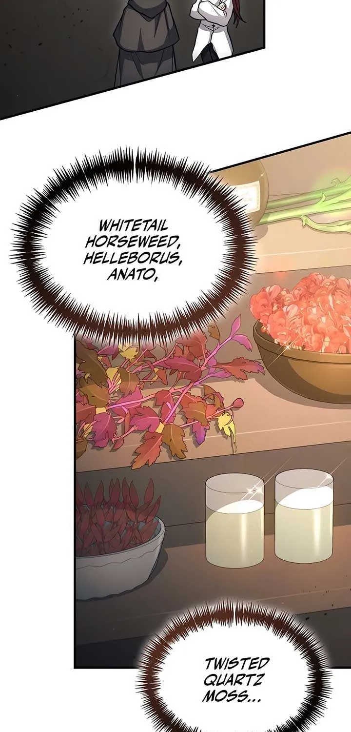 How to Live as an Illegal Healer Chapter 42 page 36 - 