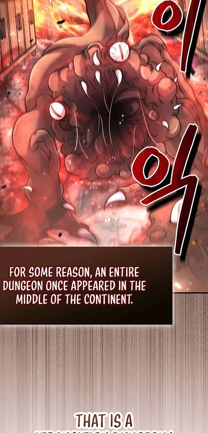 How to Live as an Illegal Healer Chapter 43 page 25 - 