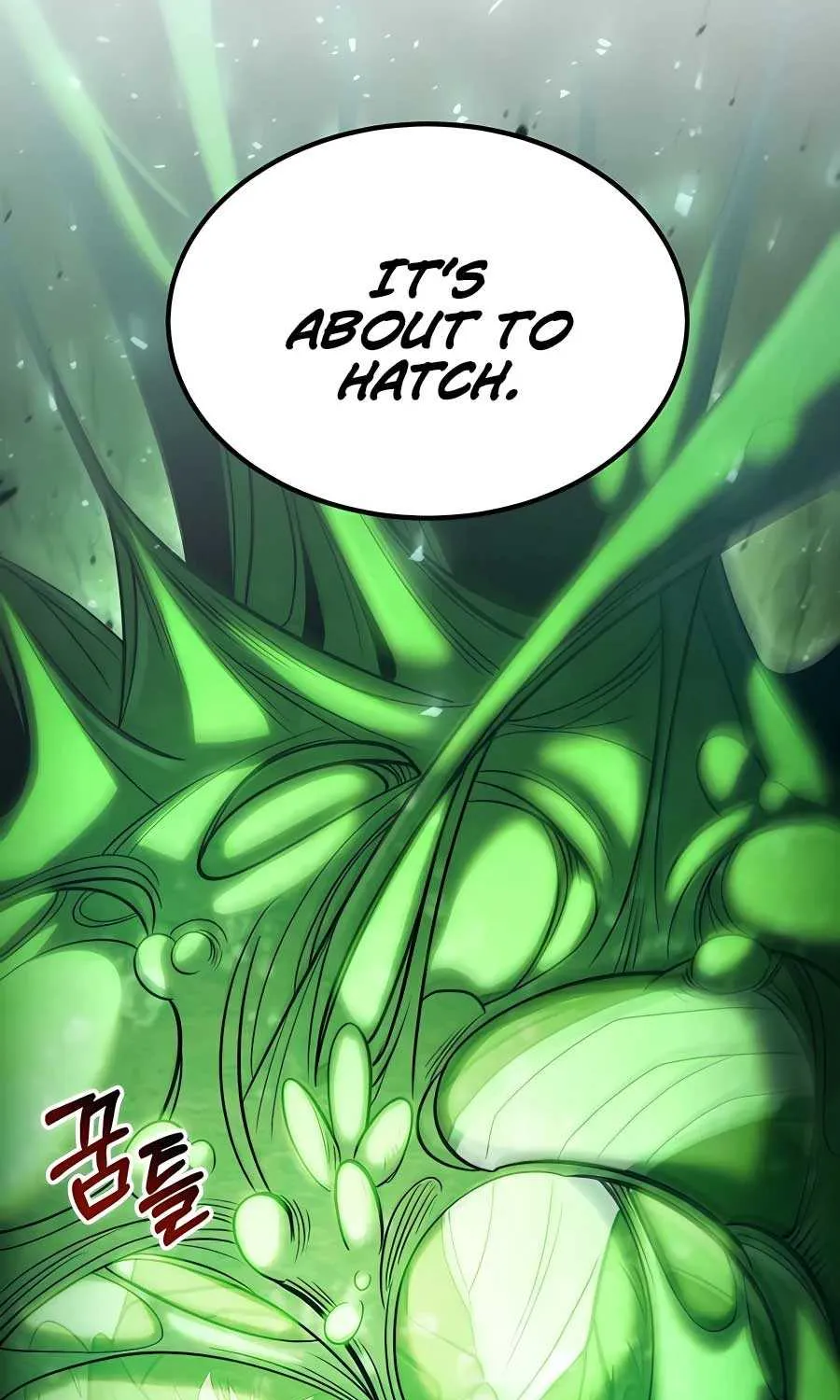 How to Live as an Illegal Healer Chapter 45 page 9 - 