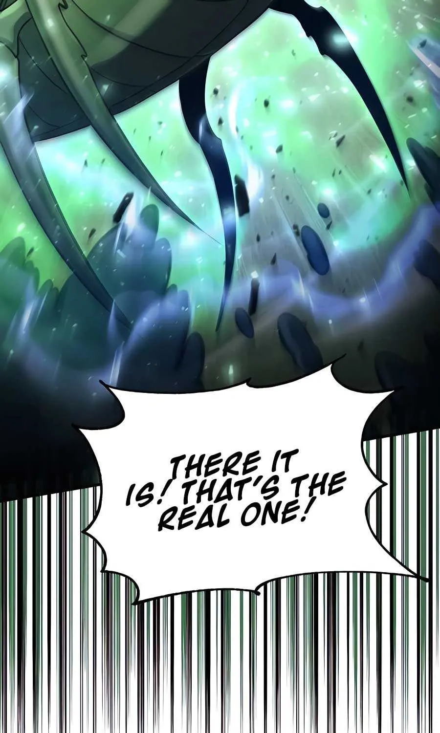 How to Live as an Illegal Healer Chapter 47 page 11 - 