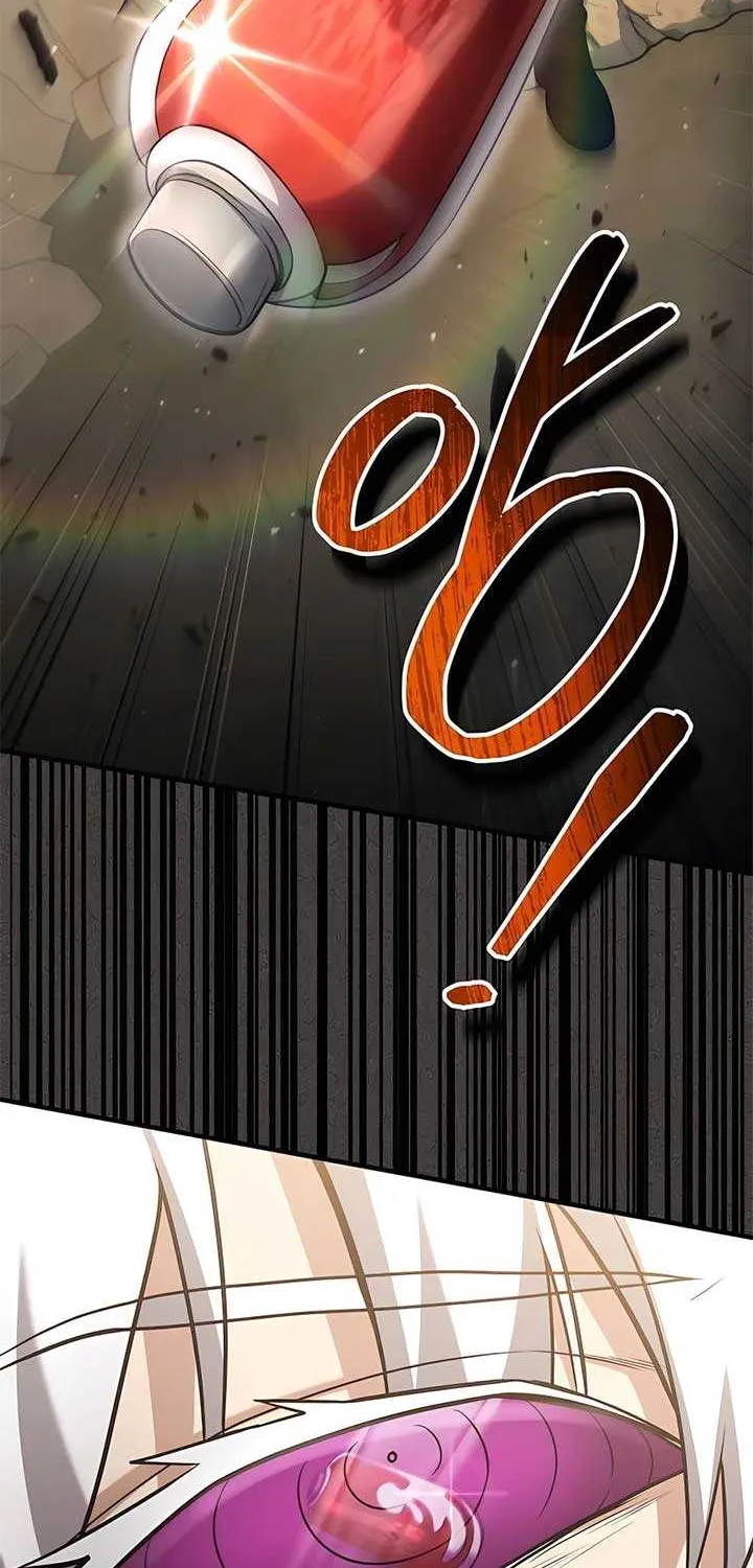 How to Live as an Illegal Healer Chapter 48 page 16 - 