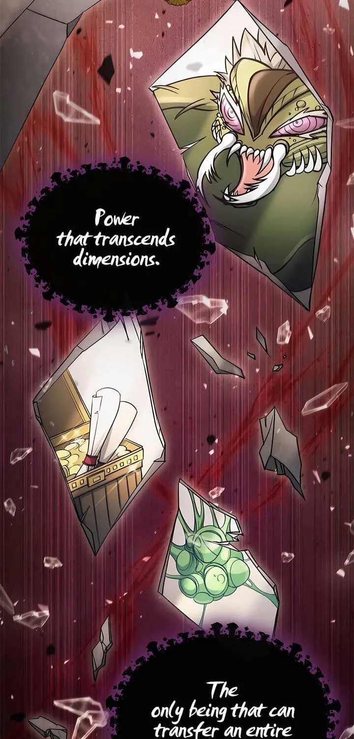 How to Live as an Illegal Healer Chapter 48 page 73 - 