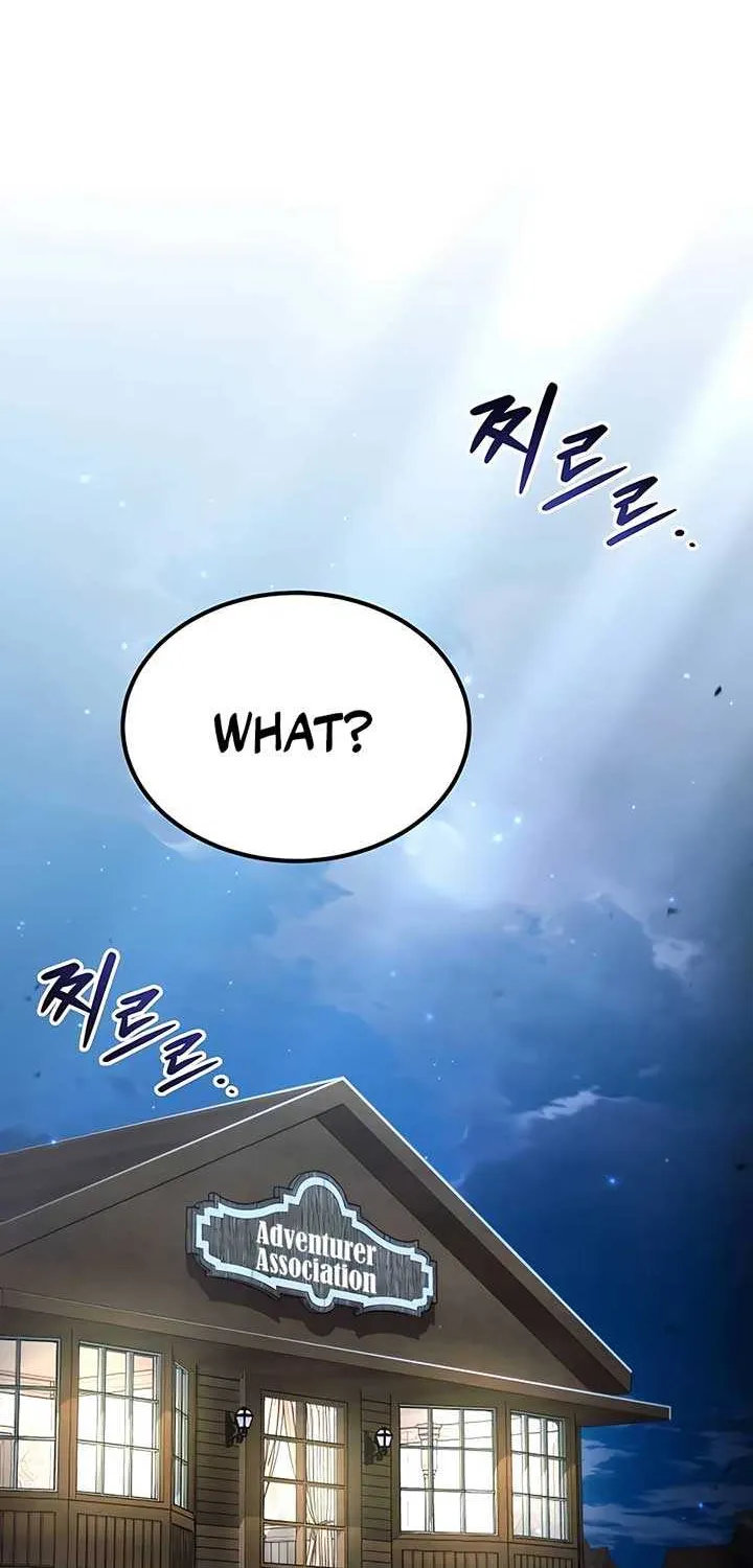 How to Live as an Illegal Healer Chapter 55 page 27 - 