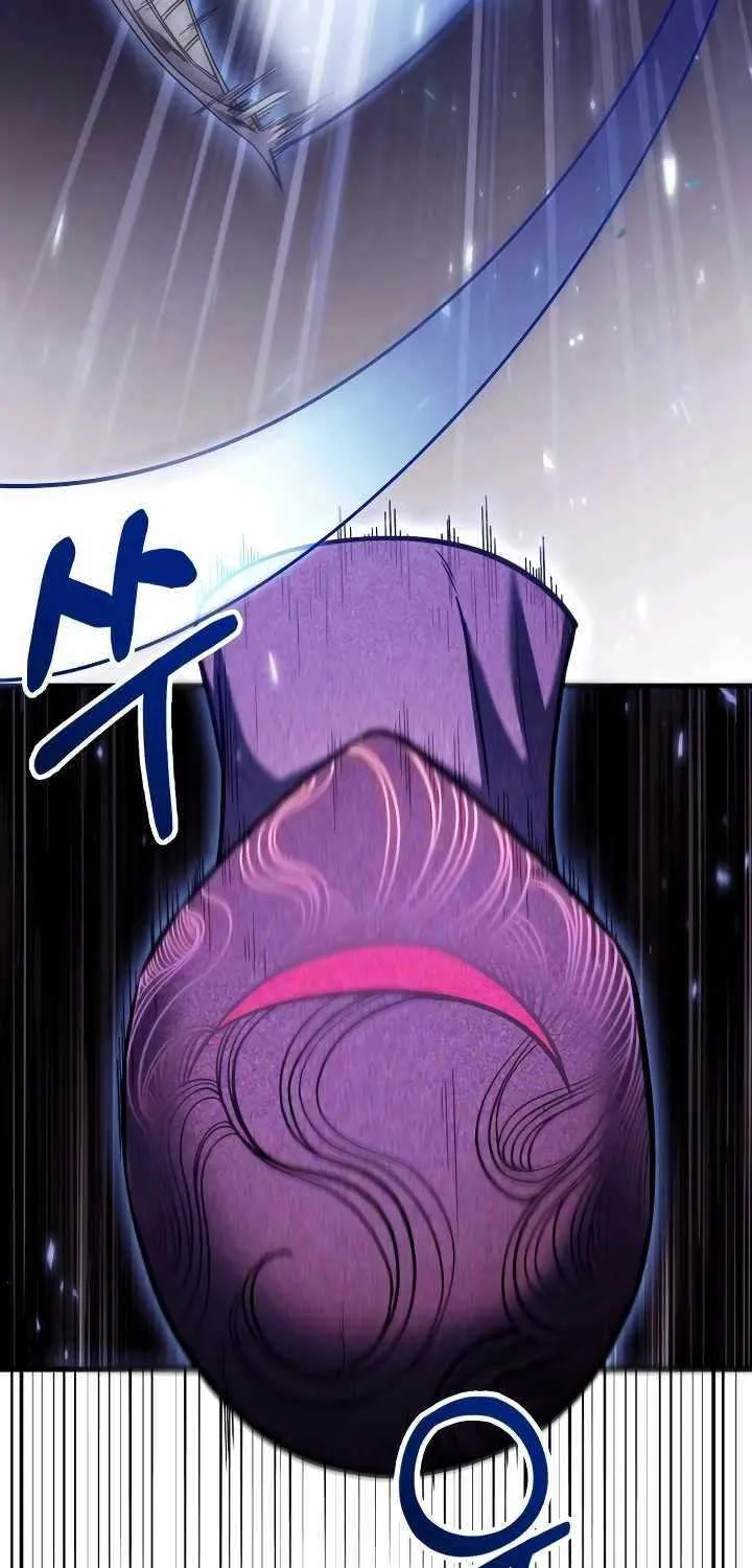 How to Live as an Illegal Healer Chapter 65 page 101 - 