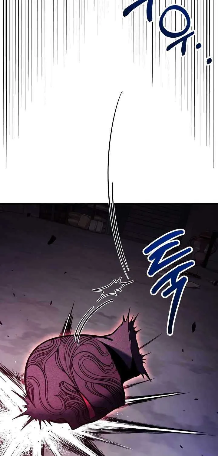How to Live as an Illegal Healer Chapter 65 page 102 - 