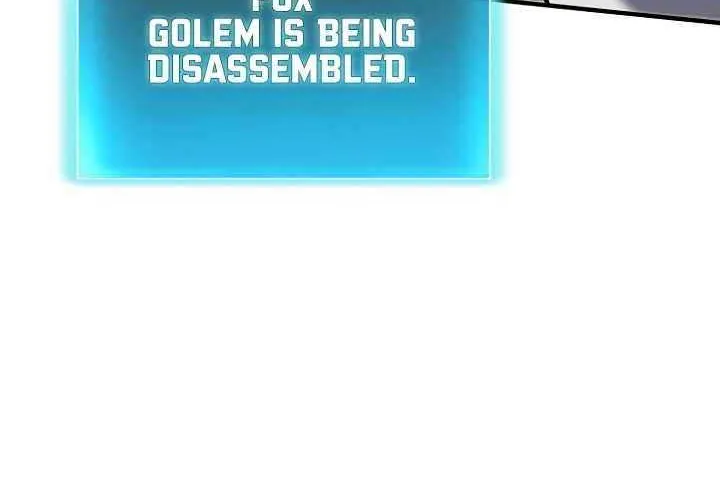 How to Live as an Illegal Healer Chapter 65 page 17 - 