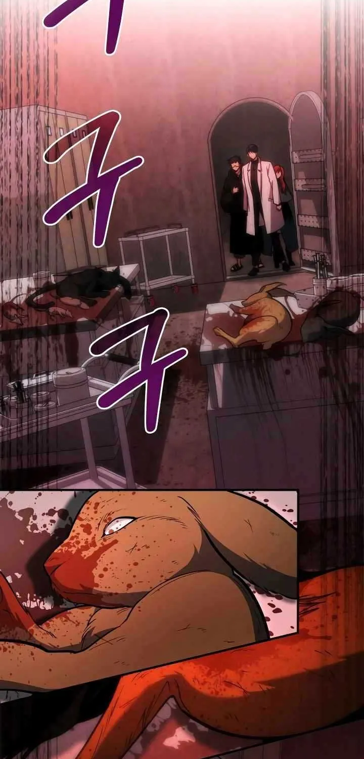 How to Live as an Illegal Healer Chapter 65 page 3 - 