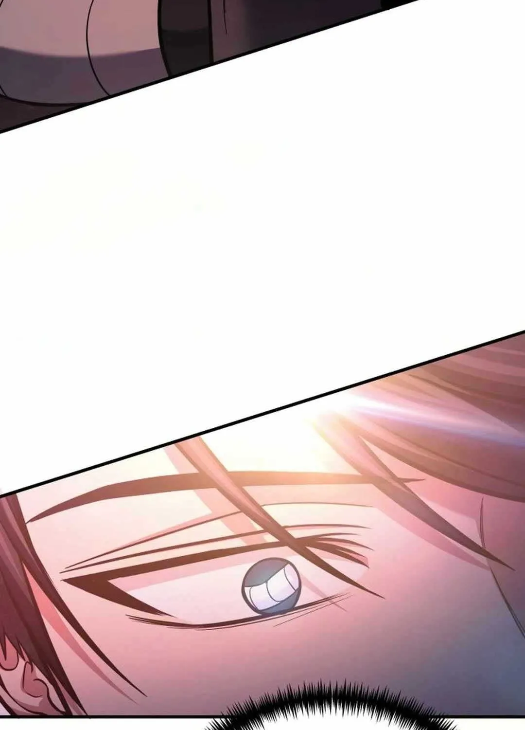 How to Live as an Illegal Healer Chapter 69 page 112 - 