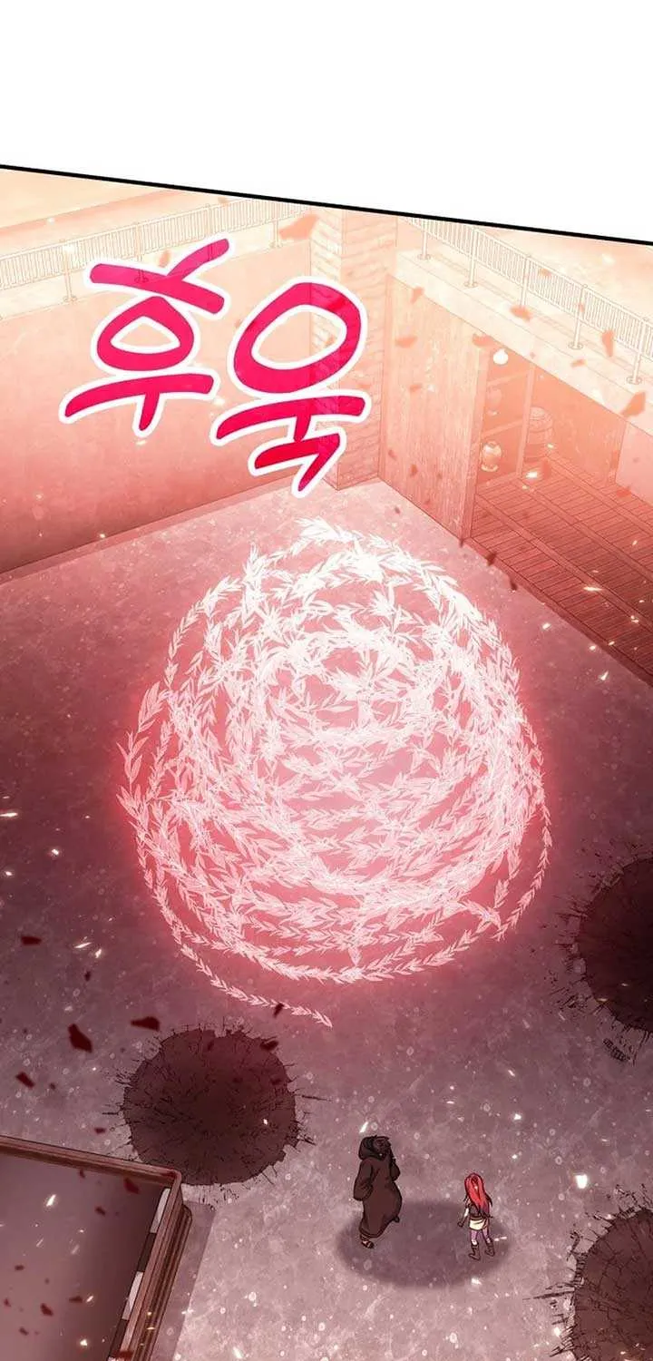 How to Live as an Illegal Healer Chapter 74 page 13 - 