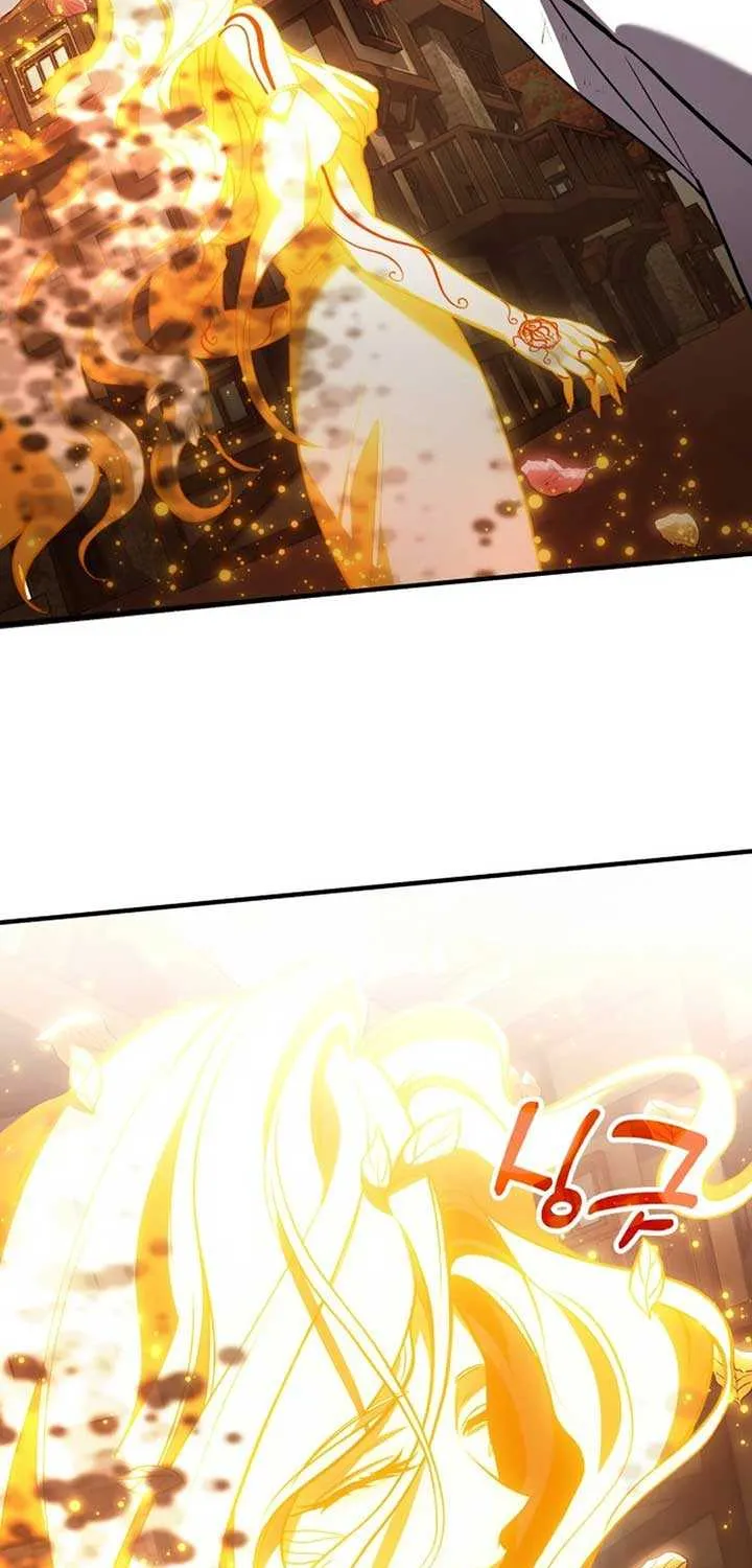 How to Live as an Illegal Healer Chapter 75 page 46 - 