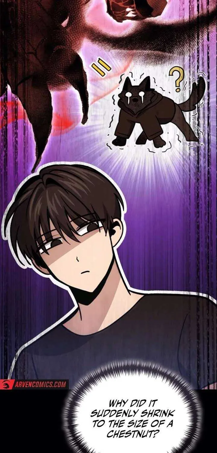 How to Live as an Illegal Healer Chapter 93 page 15 - 