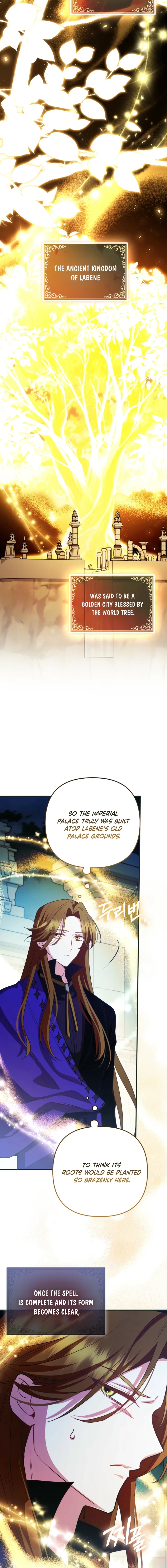 How to Perfectly End a Contract Marriage Chapter 72 page 12 - 