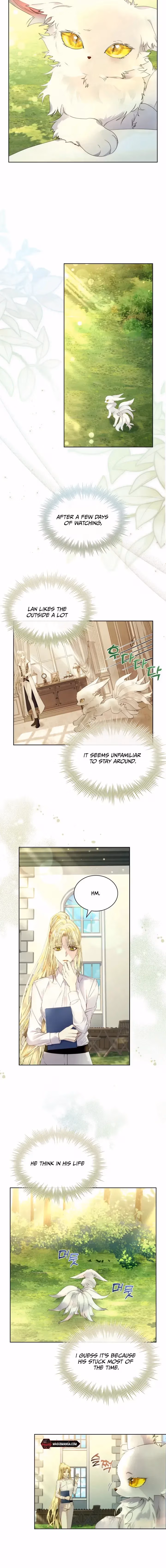 Read How to Raise a Nine-Tailed Fox chapter 12 image 7 on Lezhin