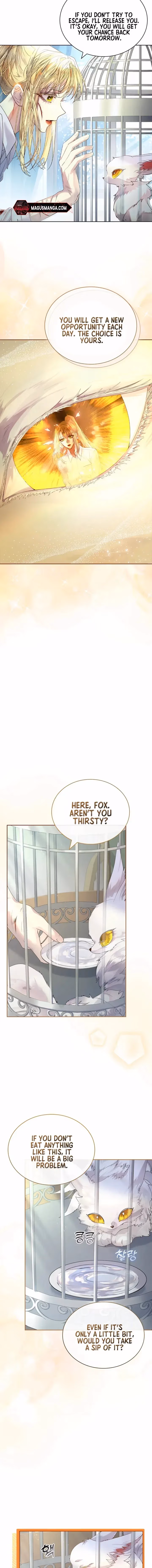 Read How to Raise a Nine-Tailed Fox chapter 4 image 4 on Lezhin