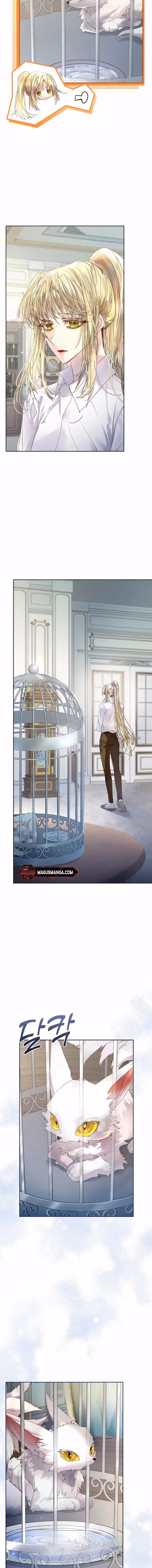 Read How to Raise a Nine-Tailed Fox chapter 4 image 5 on Lezhin
