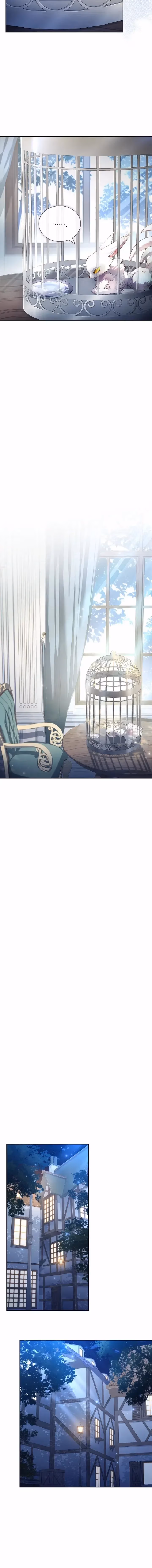 Read How to Raise a Nine-Tailed Fox chapter 4 image 6 on Lezhin