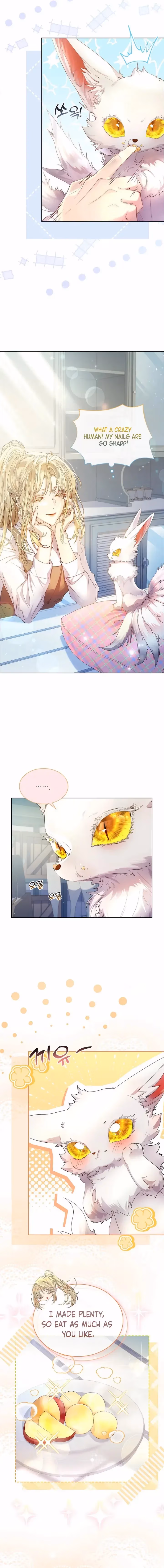 Read How to Raise a Nine-Tailed Fox chapter 7 image 4 on Lezhin