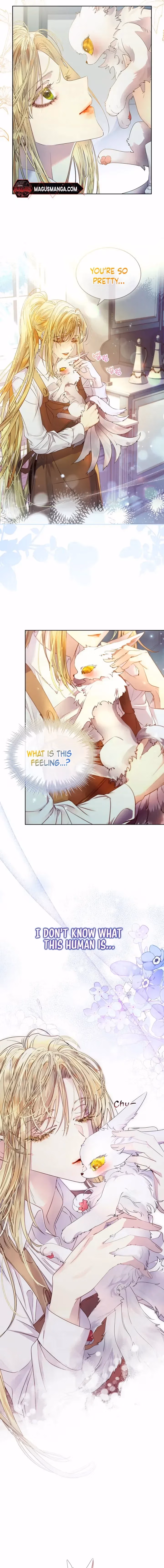 Read How to Raise a Nine-Tailed Fox chapter 7 image 7 on Lezhin