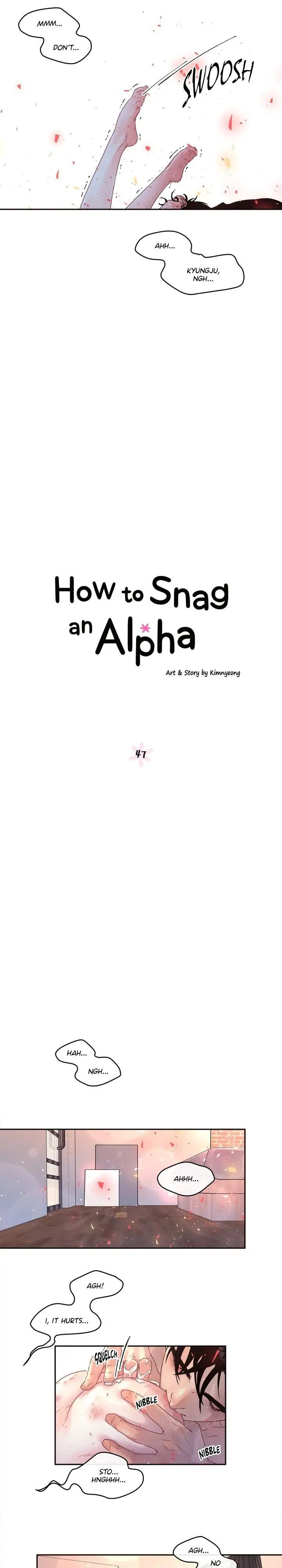 Read How to Snag an Alpha chapter 47 image 6 on Lezhin
