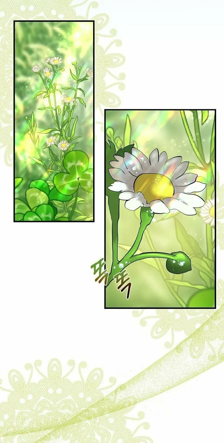 How to Survive Sleeping With the Emperor Chapter 12 page 71 - 