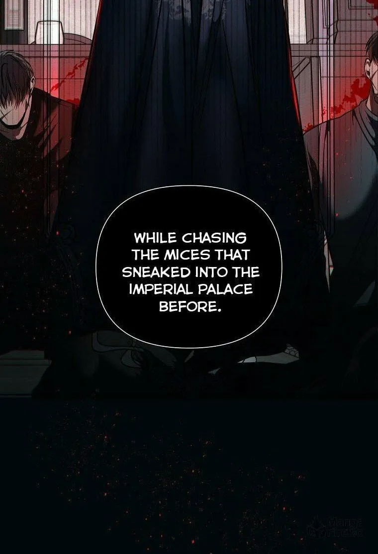 How to Survive Sleeping With the Emperor Chapter 14 page 11 - 