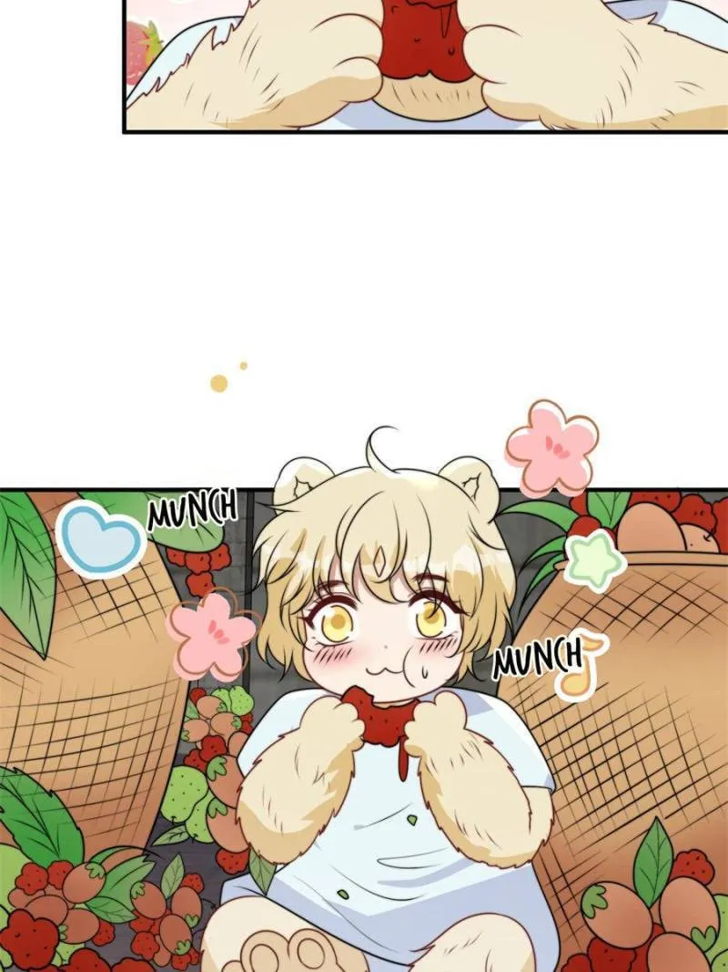 How to Tame Your Beast Husbands Chapter 333 page 14 - 