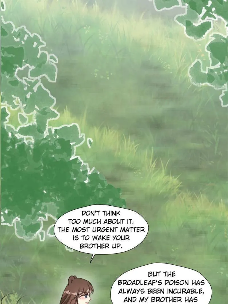 How to Tame Your Beast Husbands Chapter 380 page 13 - 