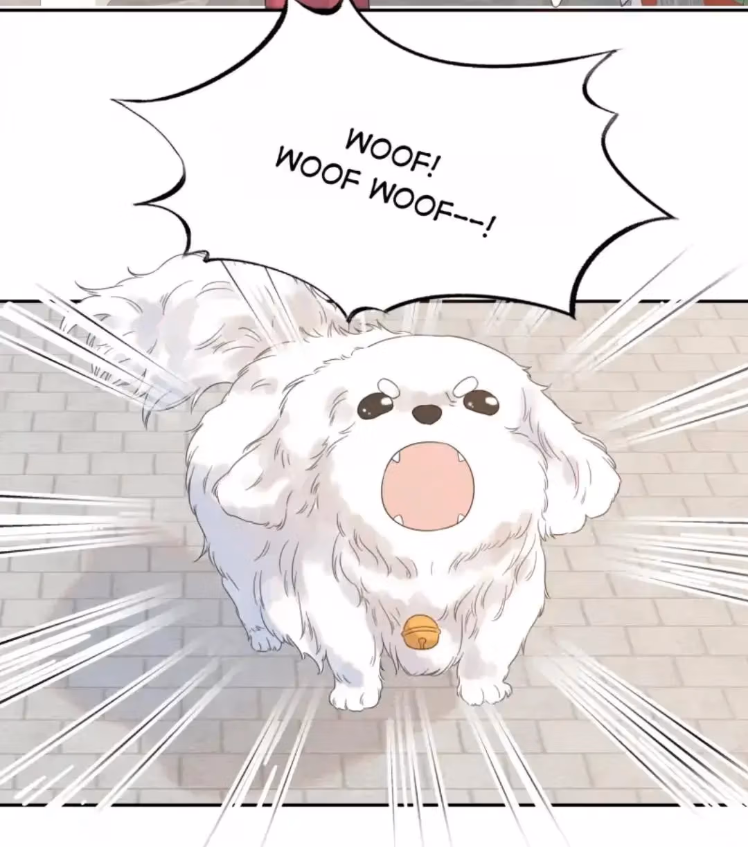 Read How’d I Get a Heroine’s Script? chapter 10 image 5 on Lezhin