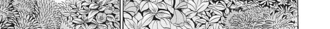 Read Hozuki’s Coolheadedness chapter 165 image 1 on Lezhin
