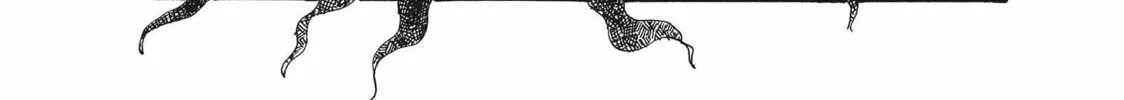 Read Hozuki’s Coolheadedness chapter 62 image 1 on Lezhin