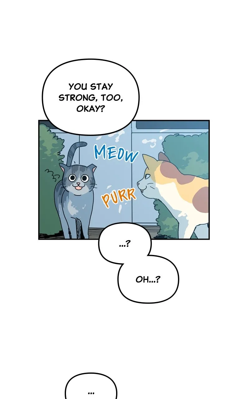 Read Humanoido chapter 1 image 35 on Lezhin