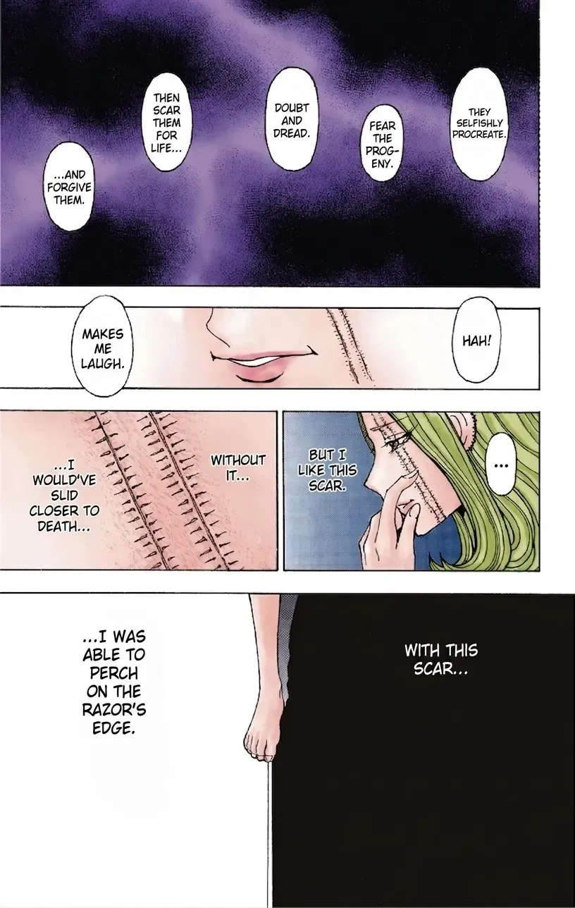 Read HUNTER x HUNTER (Official Colored) chapter 378 image 10 on Lezhin