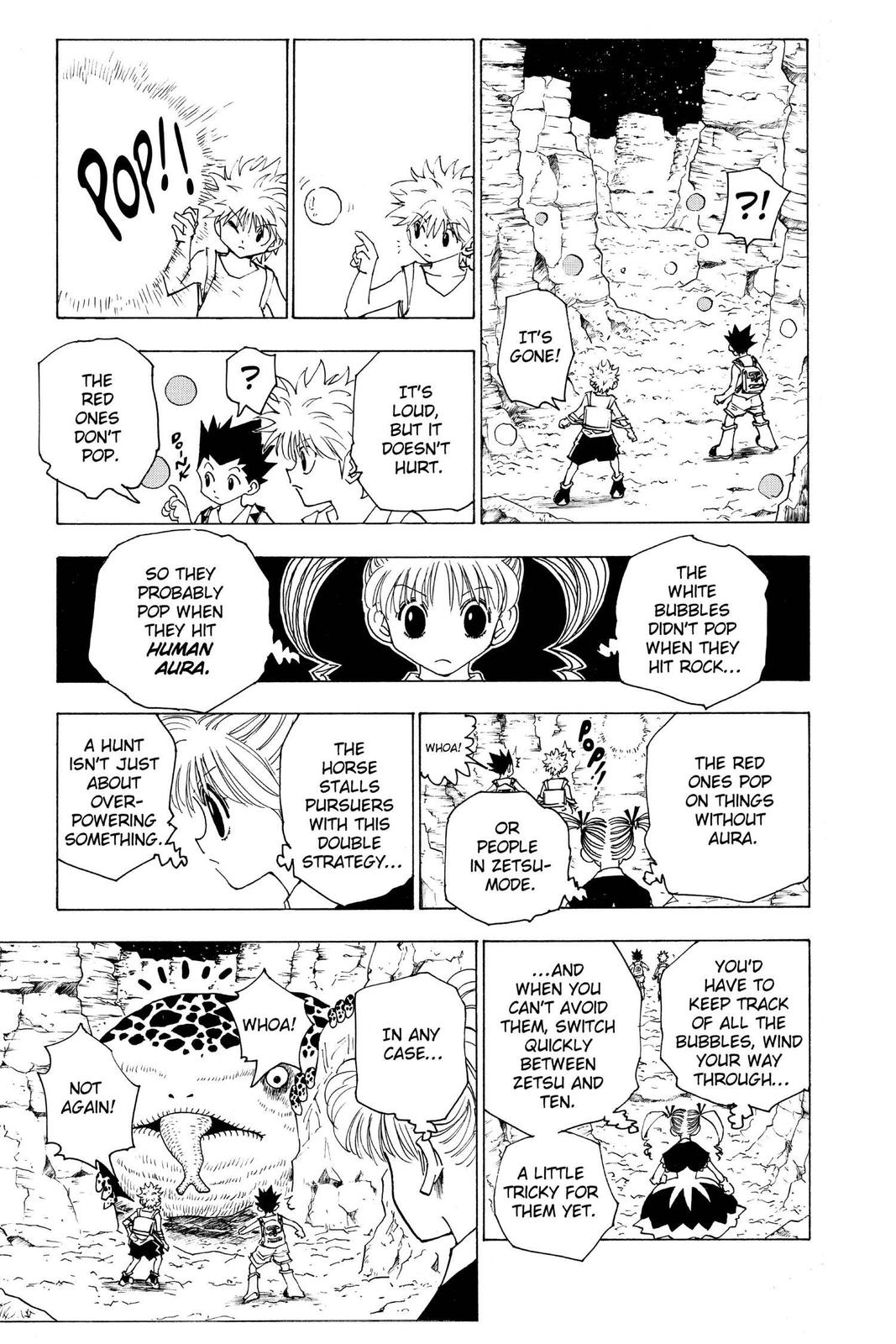 Read Hunter x Hunter chapter 136 image 6 on Lezhin
