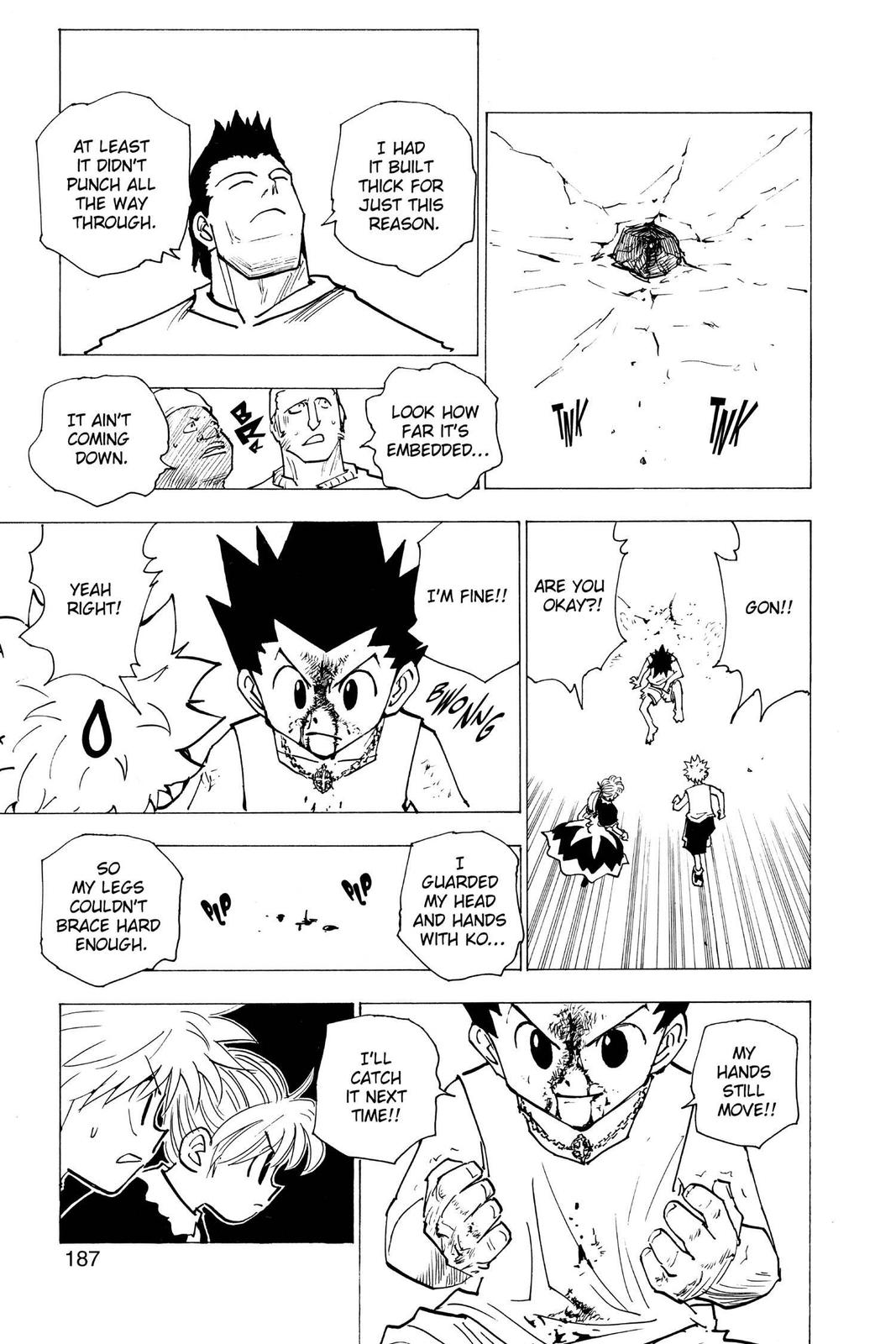 Read Hunter x Hunter chapter 163 image 10 on Lezhin