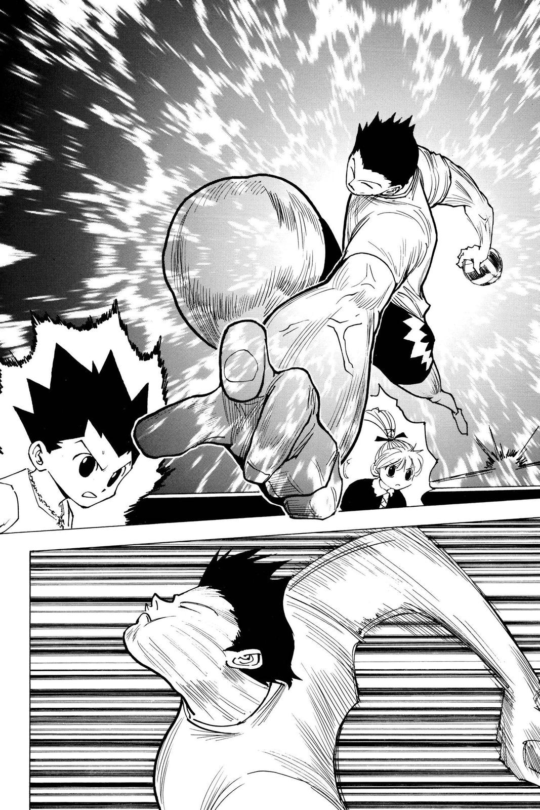 Read Hunter x Hunter chapter 163 image 5 on Lezhin